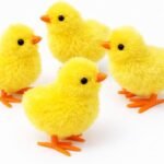 Chick Key Toy