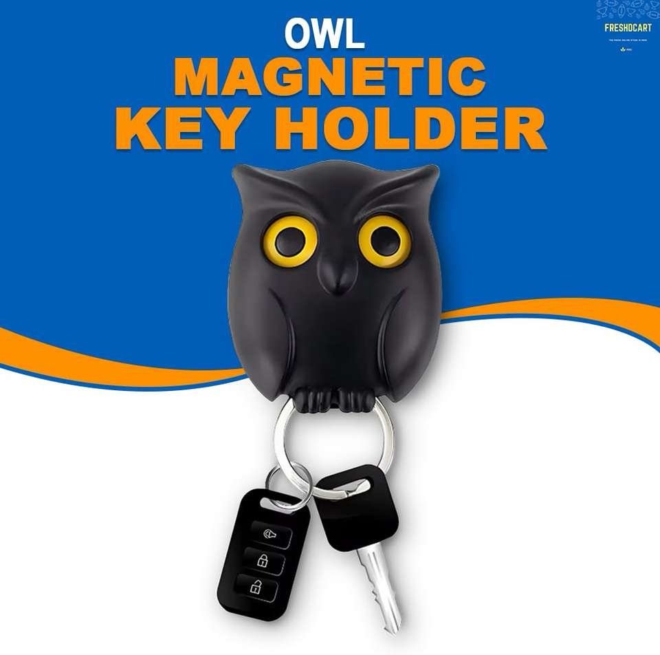 img_3252 Owl Magnetic Keychain Holder - Image 1