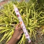 Jumbo Pencil - Image 4