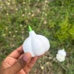 Garlic Eraser - Image 2
