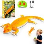Wall Climbing RC Lizard